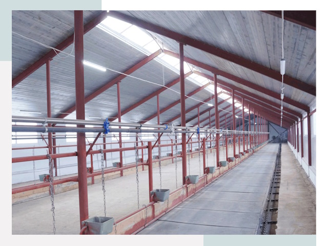 Строительство коровников в Людинове от 611 руб.