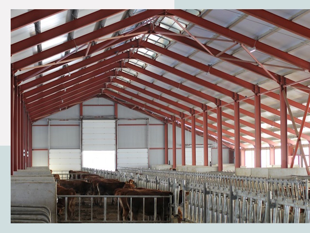 Строительство коровников в Людинове