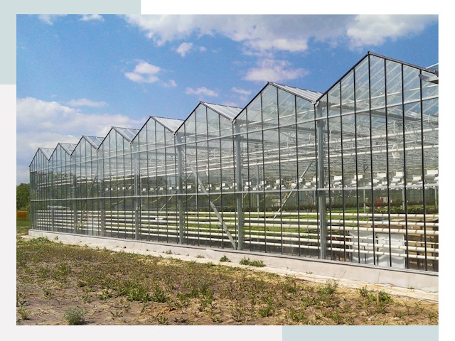 Строительство теплиц в Людиново от 611 руб. за м²